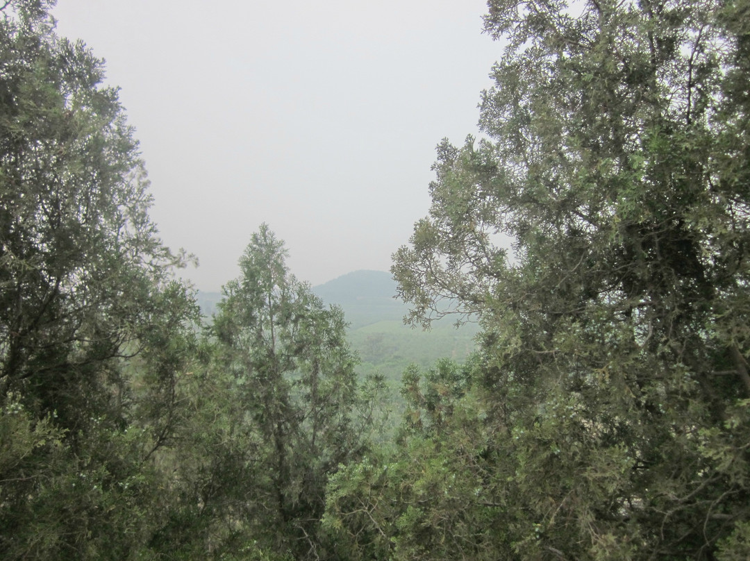 茂陵景点图片