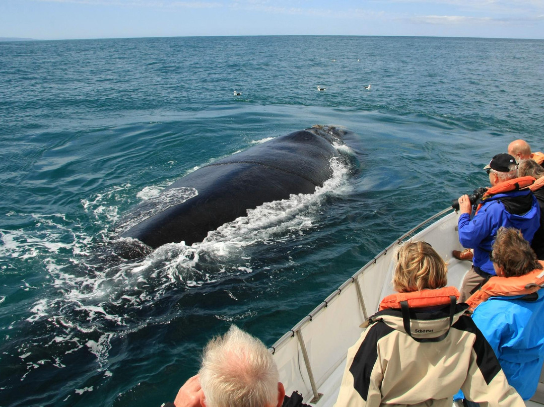 Ocean Odyssey-克尼斯纳必去景点