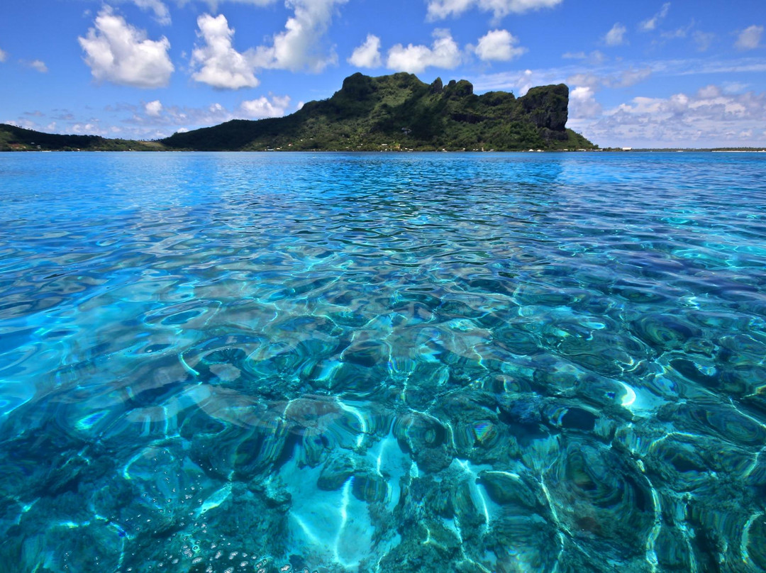 Maupiti Island旅游攻略图片