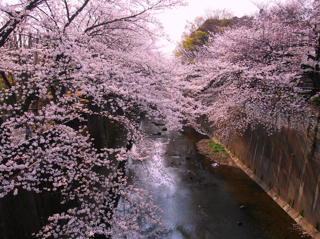 Otonashi Ryokuchi-北区必去景点