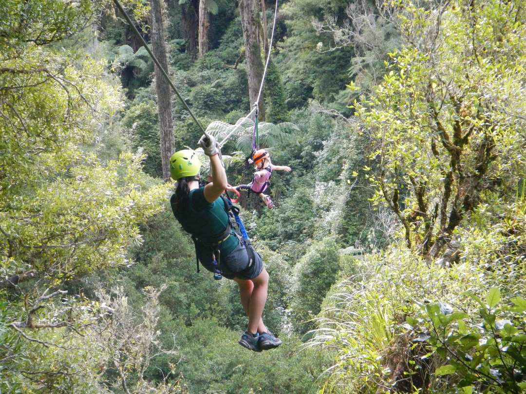 罗托鲁瓦树冠之旅-罗托鲁瓦必去景点
