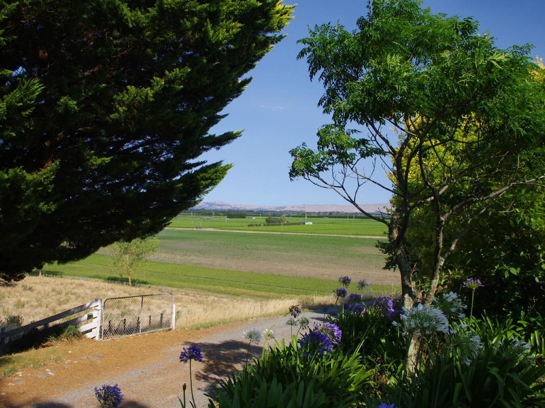 Grandvue Country Stay主图