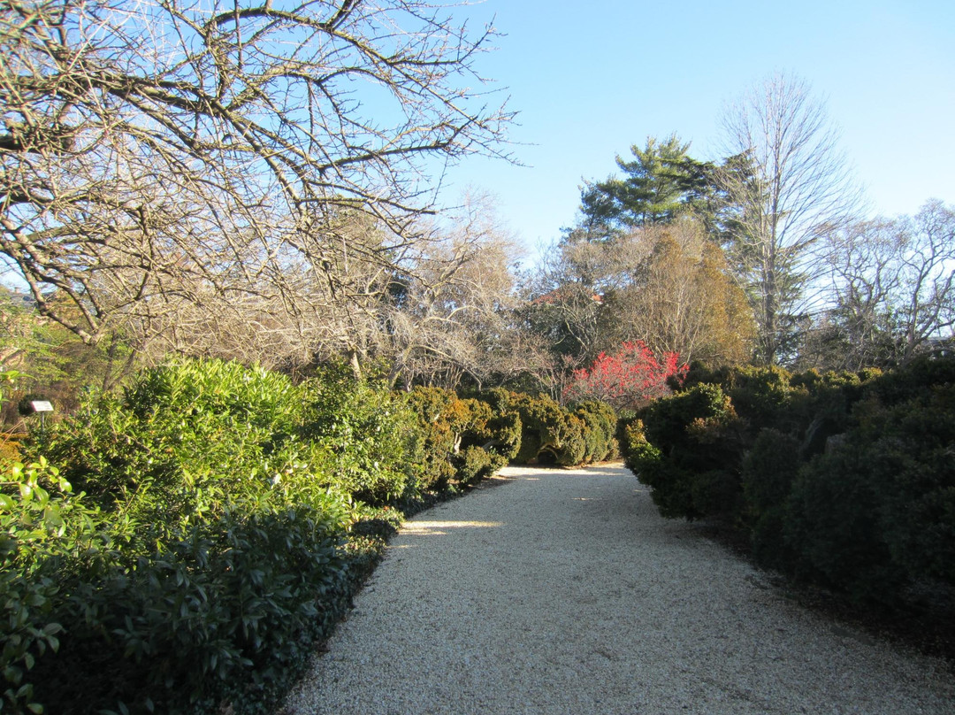 Tudor Place-华盛顿特区必去景点