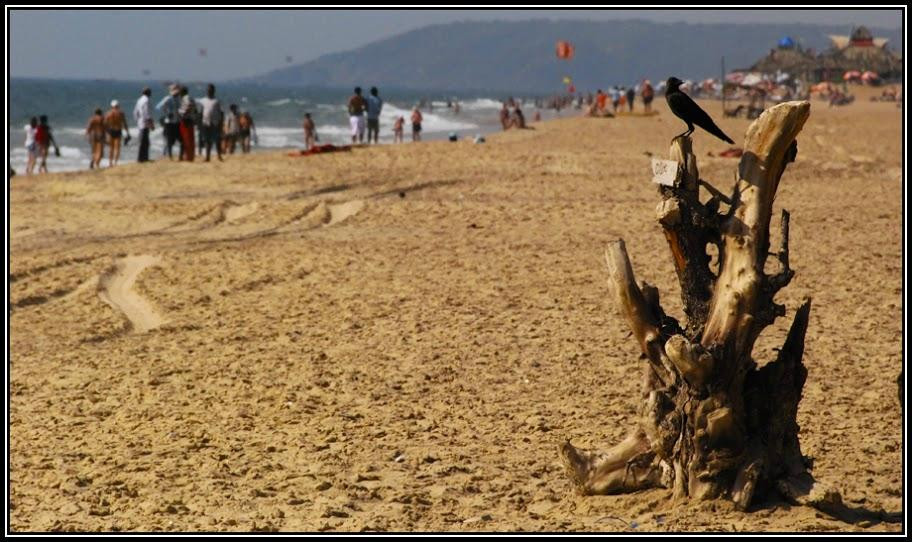 Sinquerim Beach-辛魁林姆必去景点