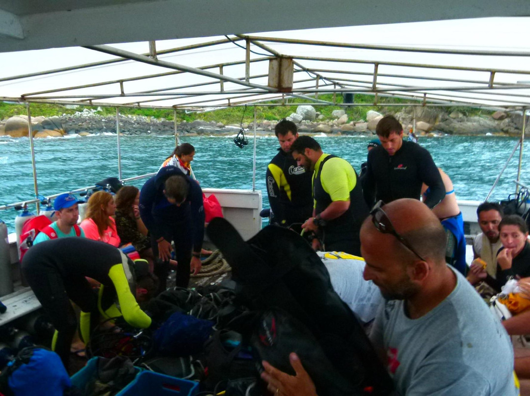 Reserva Biologica Marinha do Arvoredo-Bombinhas必去景点