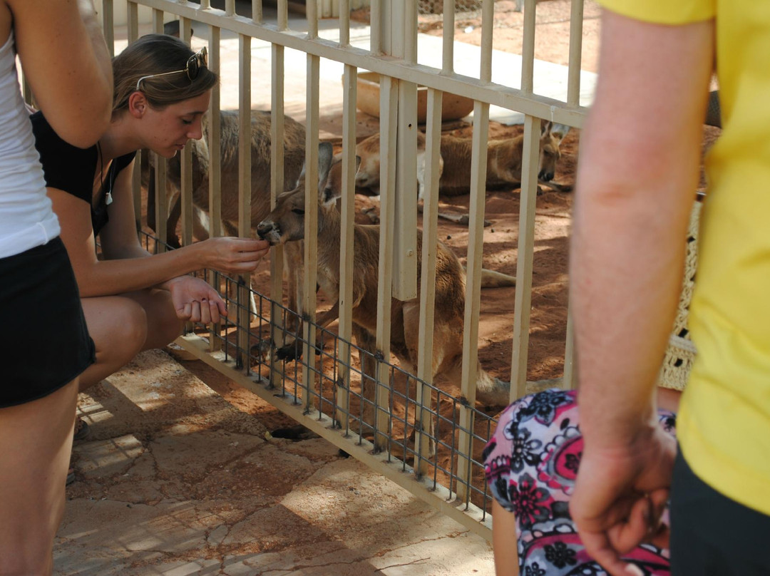 Josephine's Gallery and Kangaroo Orphanage-库伯佩迪必去景点