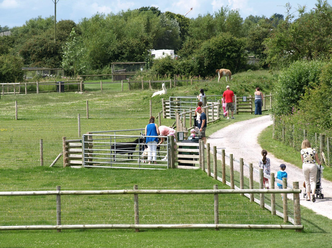 Animal Farm Adventure Park-Berrow必去景点