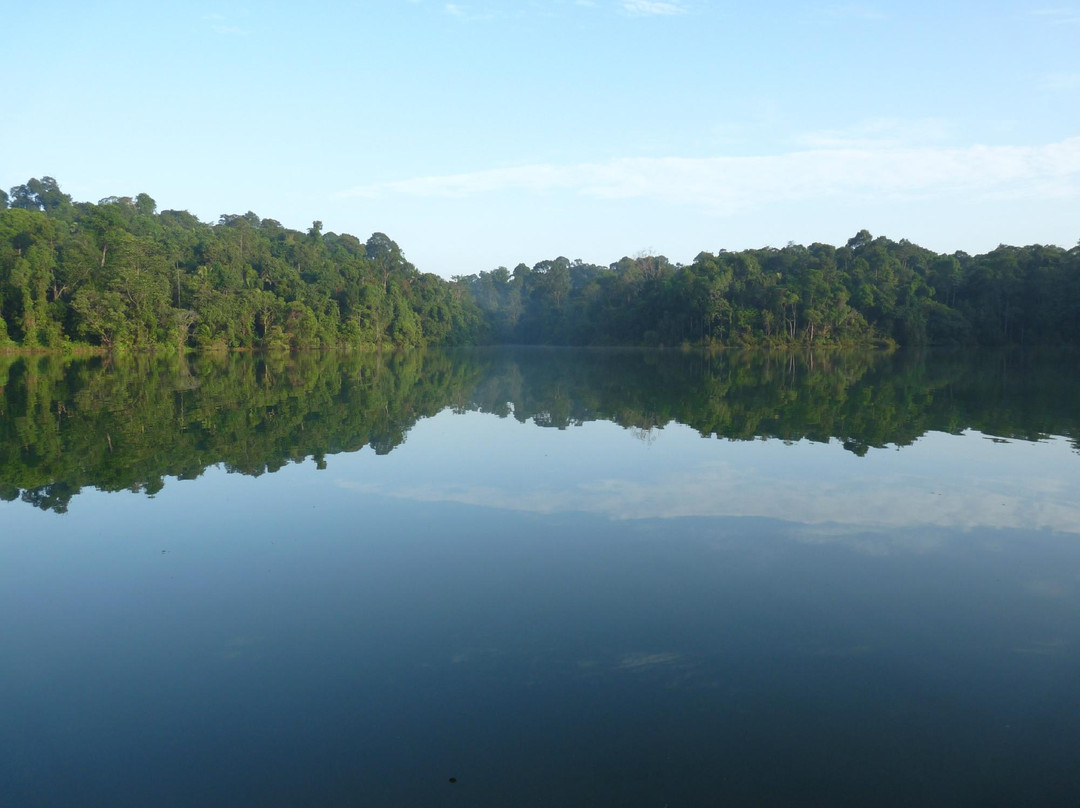 麦里芝自然小径-新加坡必去景点