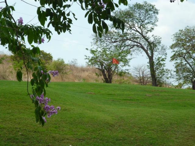 Papagayo Golf & Country Club景点图片