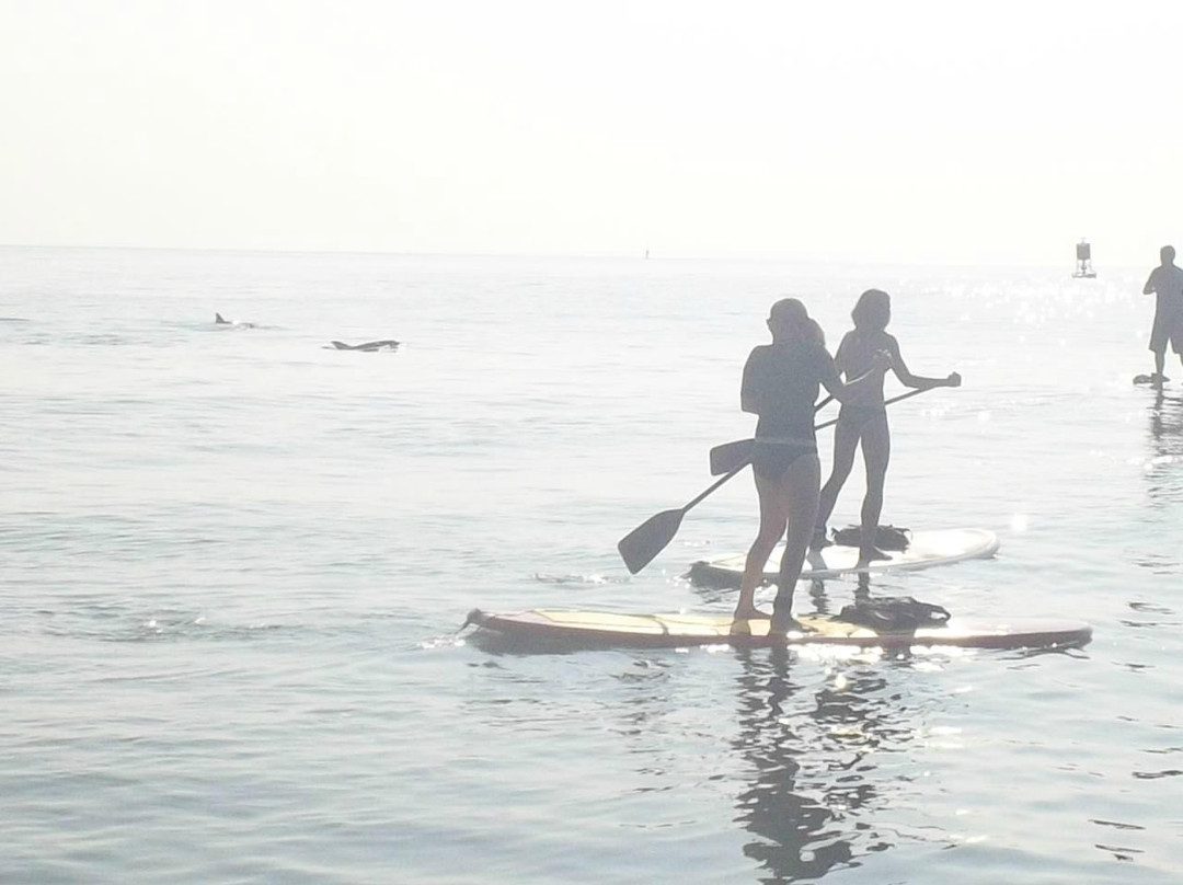Rudee Inlet Stand Up Paddle-弗吉尼亚海滩必去景点