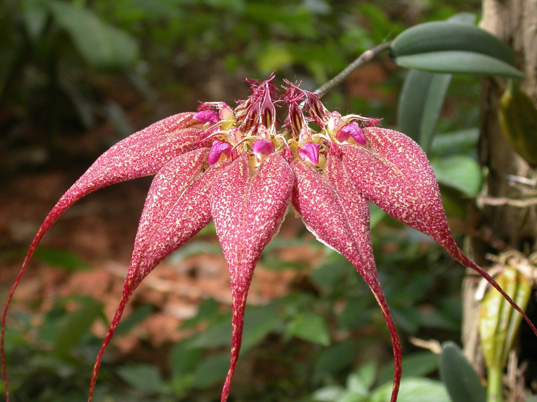 悠然台民宿主图