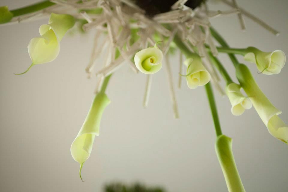 Bouquet Boutique -Fleuriste--San Daniele del Friuli必去景点