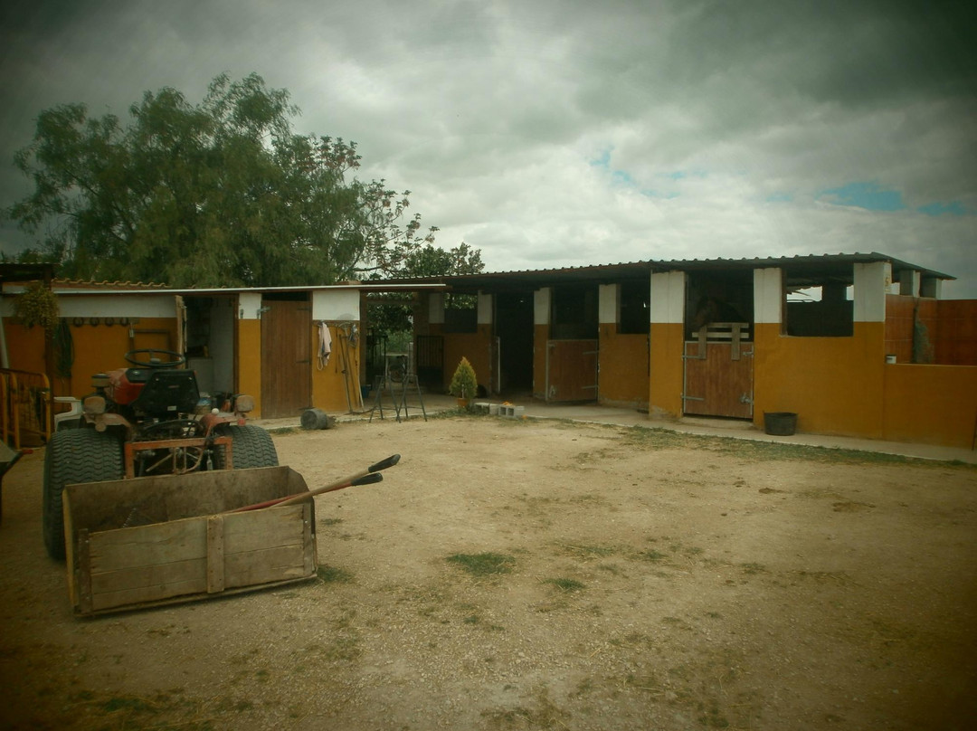 Finca Montana-Almoradi必去景点