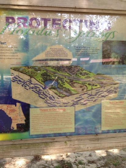 Ponce de Leon Springs State Park景点图片