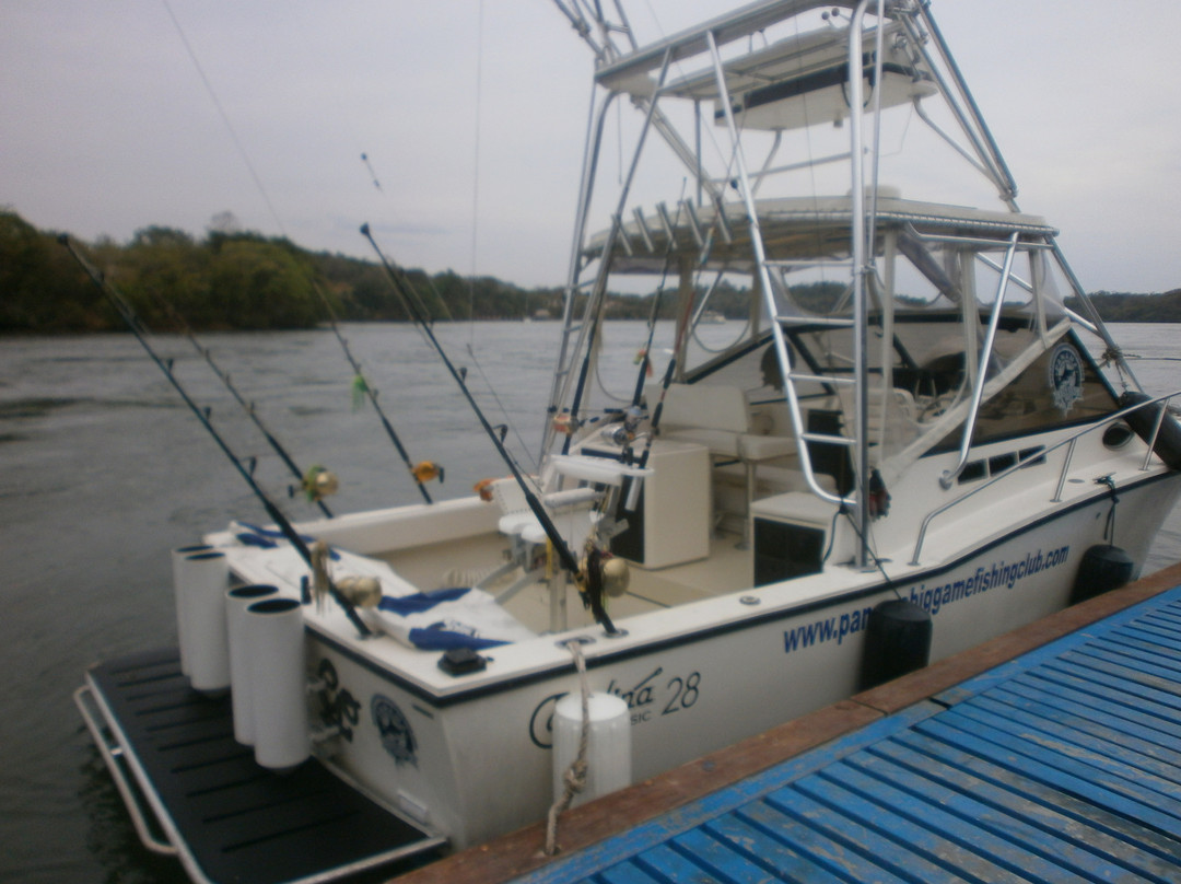 Panama Big Game Fishing Club Day Tours景点图片