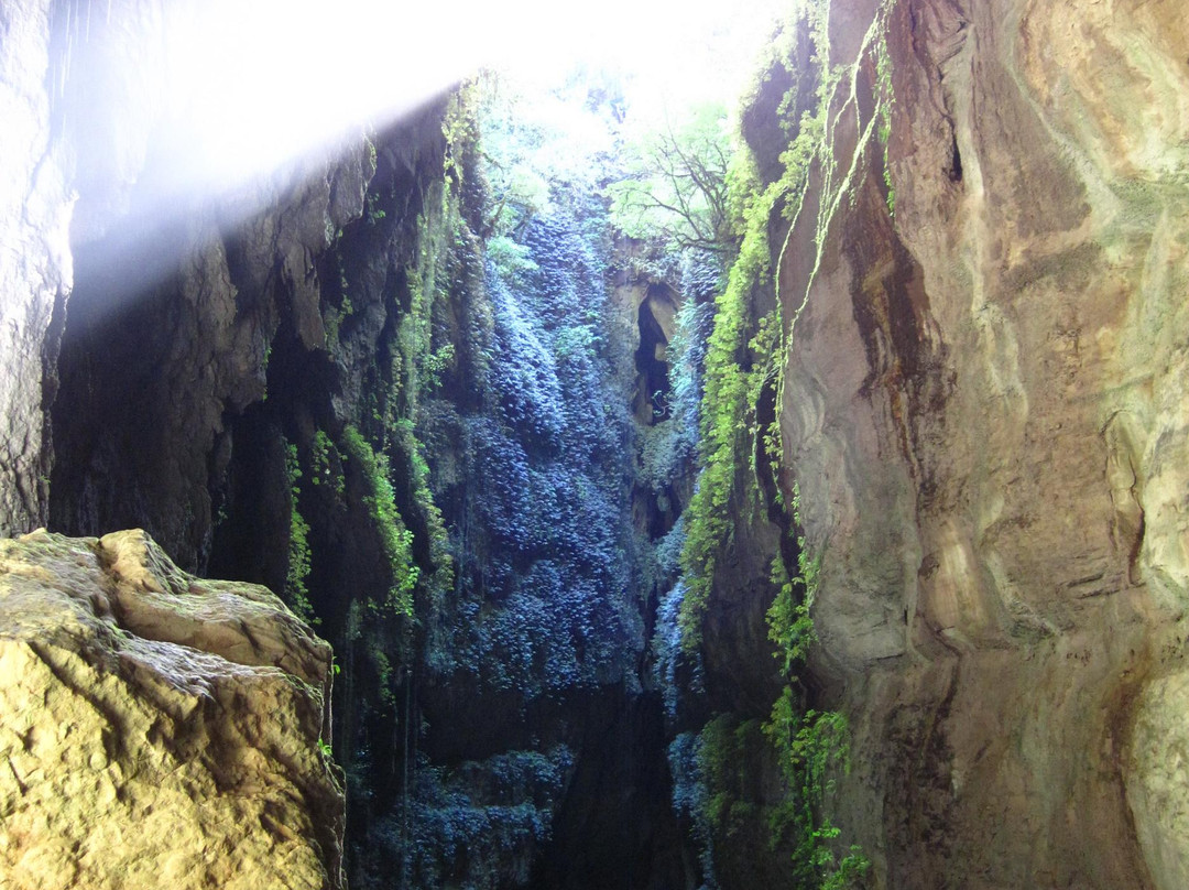 Waitomo Adventures景点图片