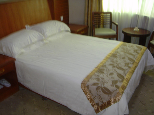 江南大酒店主图