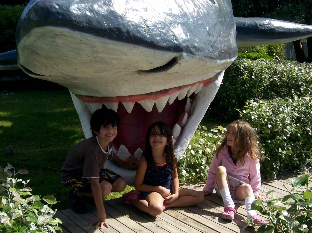 海洋博物馆-La Barra必去景点