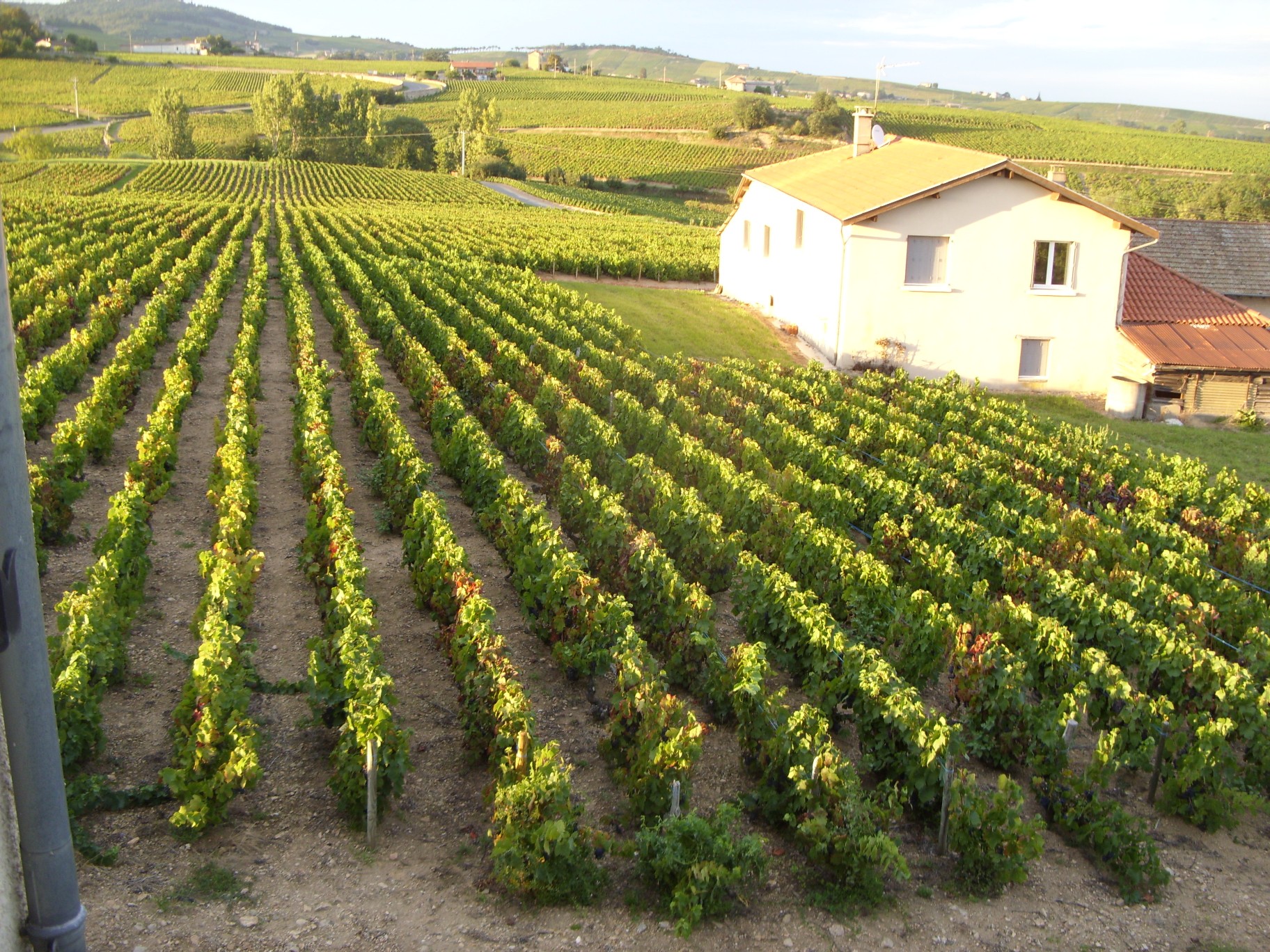 Domaine des Marrans-酒店景观