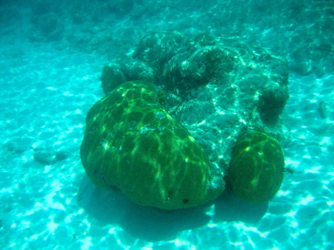 Hawksnest Beach-维尔京群岛国家公园必去景点