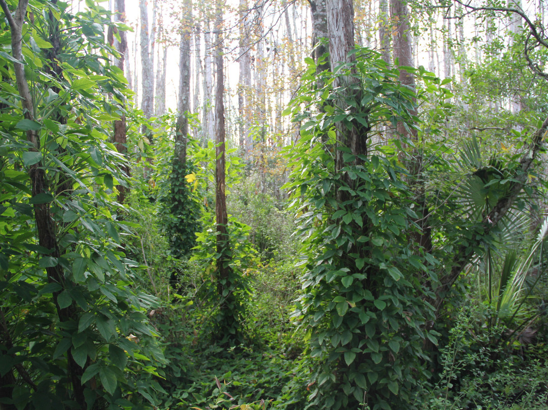 Ah-Tah-Thi-Ki Museum-克莱维斯顿必去景点