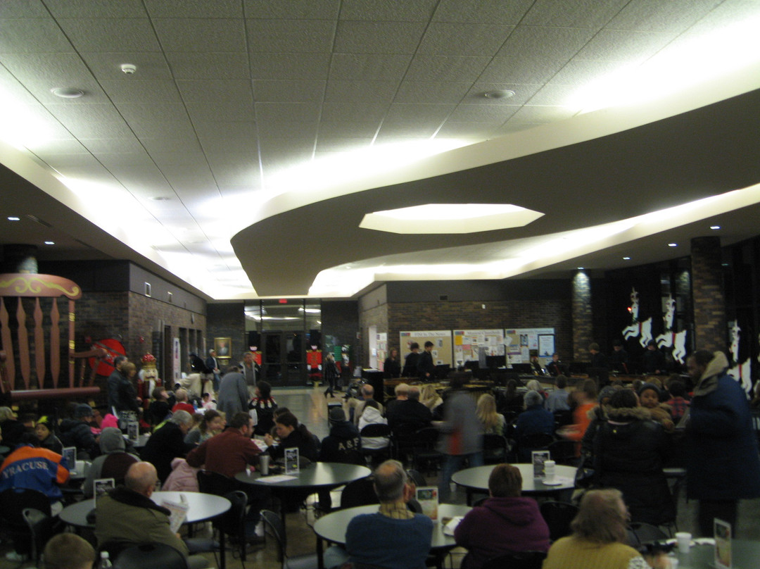 Flint Institute of Music-弗林特必去景点