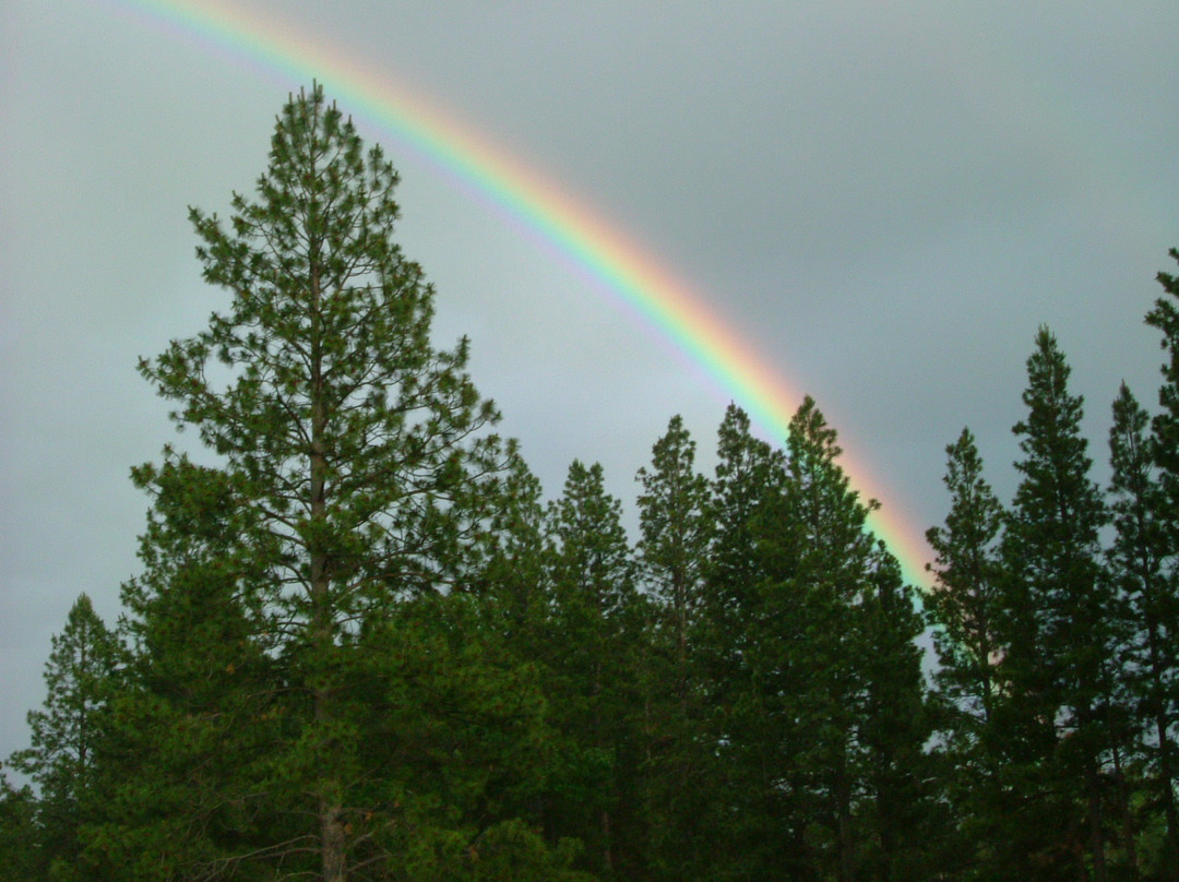The Cabins at Deer Crossing主图