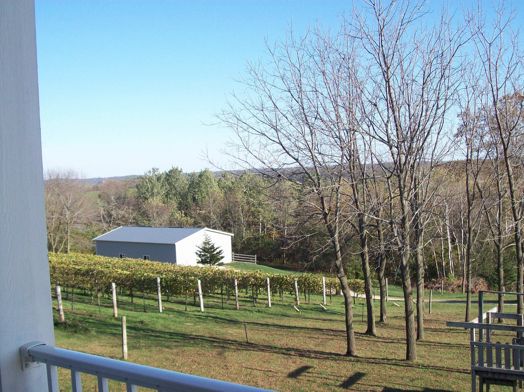 Garvin Heights Vineyards景点图片