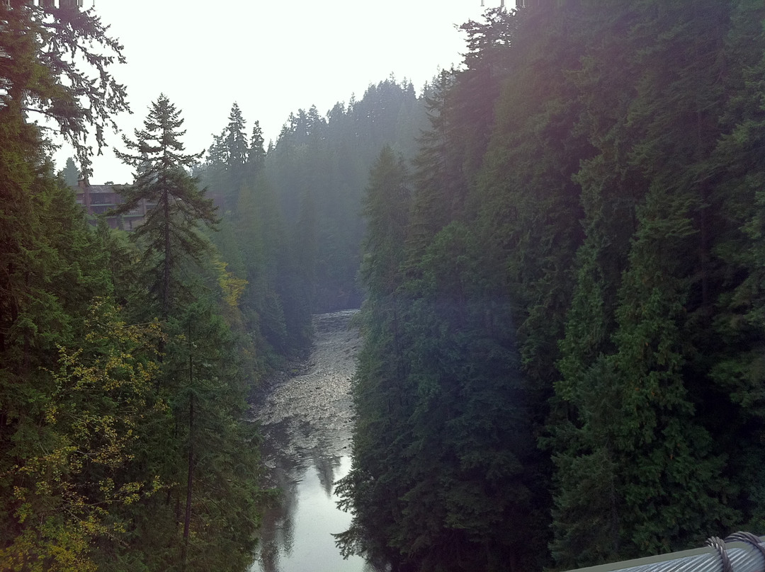 卡皮拉诺吊桥及公园-北温哥华必去景点