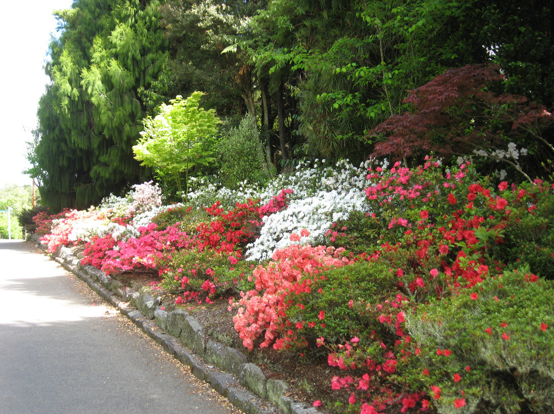 Waipahihi Botanical Gardens景点图片