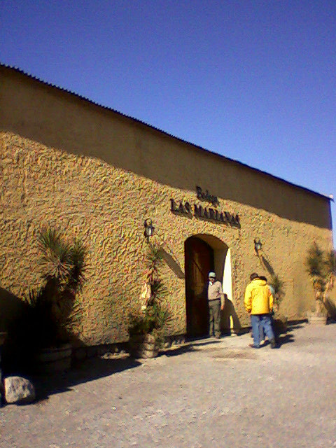 Bodega Las Marianas景点图片