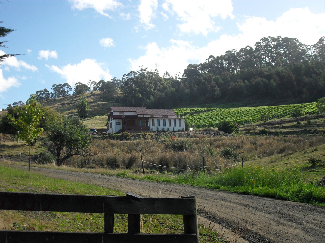 St Imre Vineyard-多佛必去景点