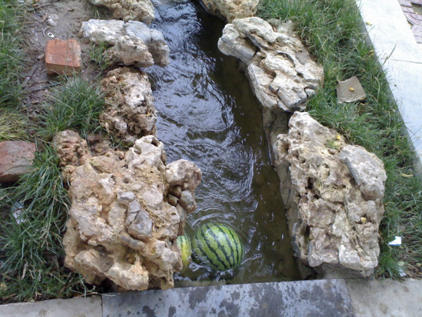 凤凰谷森林公园-运城市必去景点