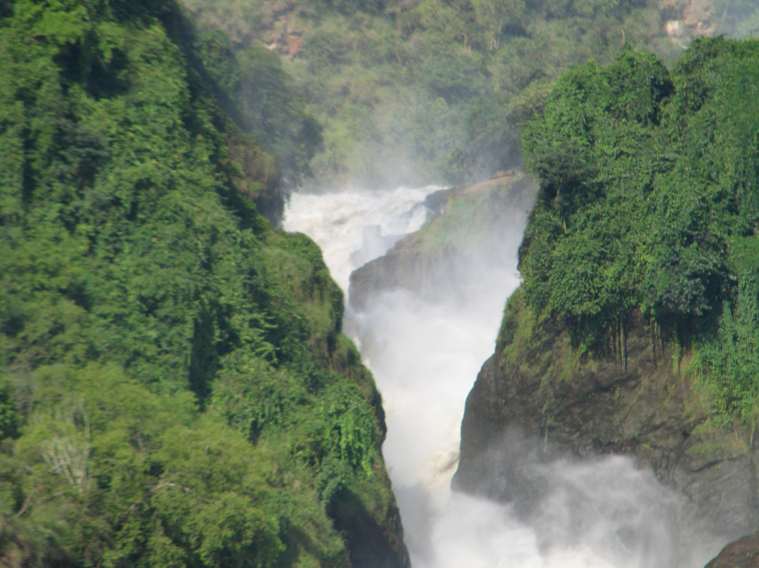 Murchison Falls National Park景点图片