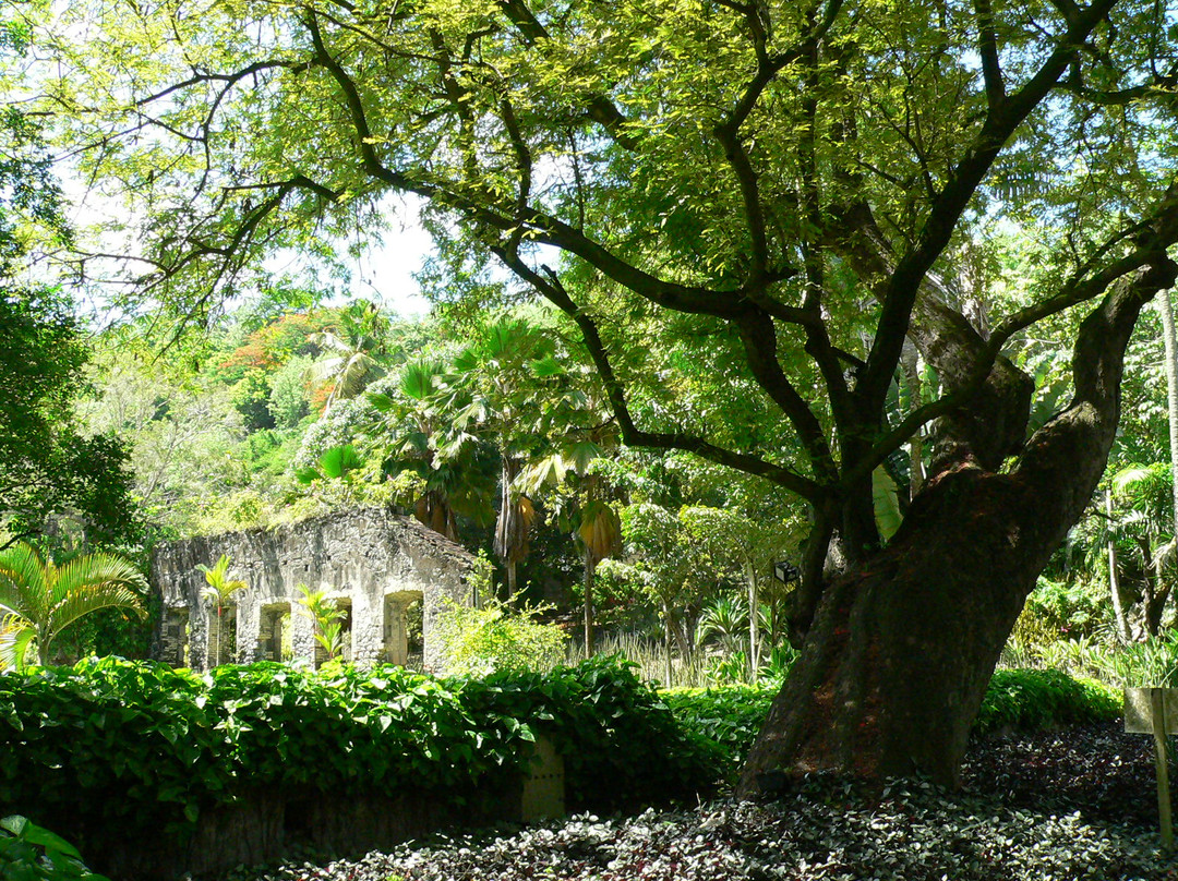 Jardin de Balata-法兰西堡必去景点