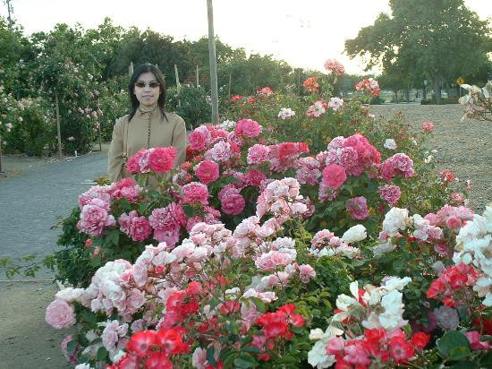 Heritage Rose Garden-圣何塞必去景点
