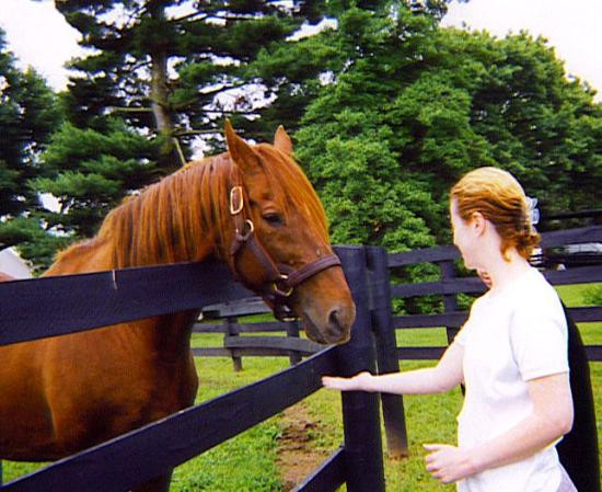 Old Friends at Dream Chase Farm-Georgetown必去景点
