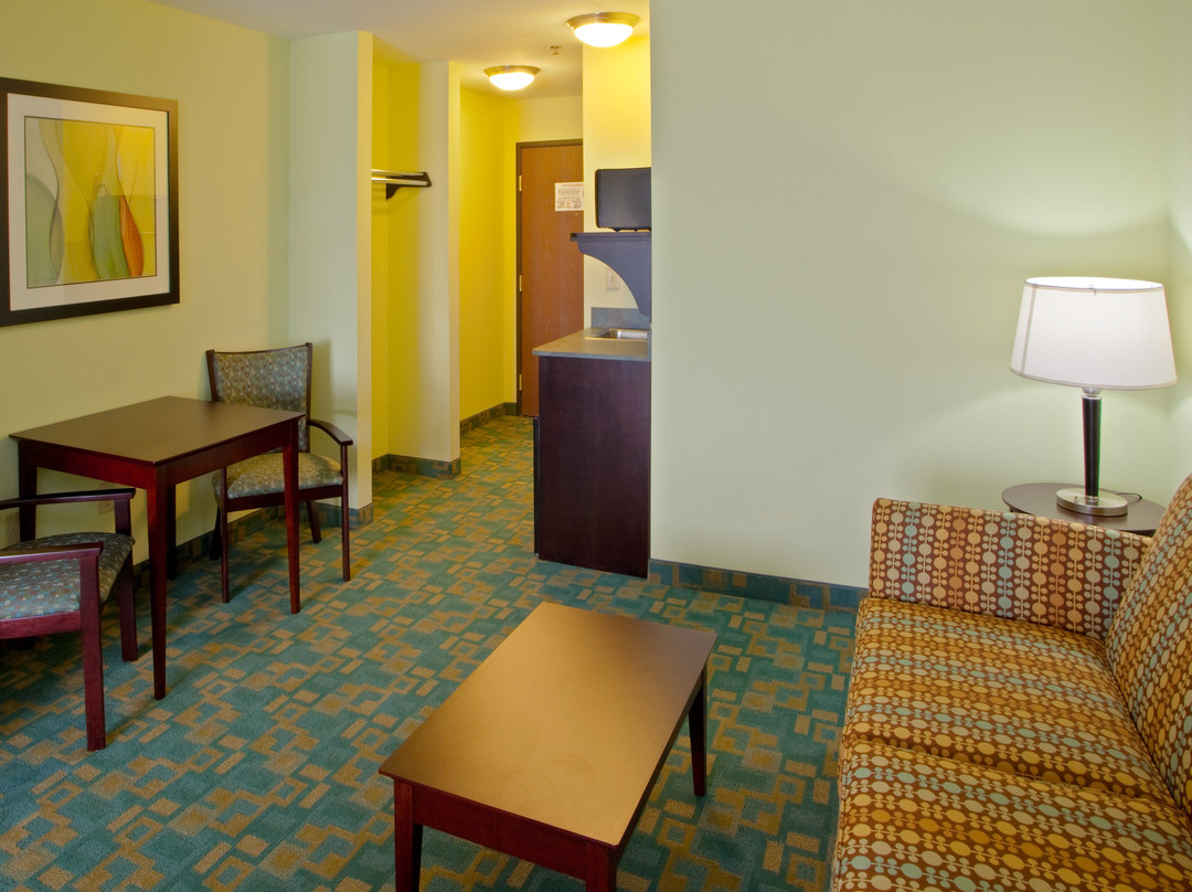 Bowling Green酒店住宿-Holiday Inn Express & Suites Thornburg-s. Fredericksburg By IHG