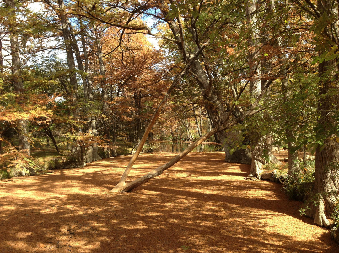 Blue Hole Regional Park-Wimberley必去景点