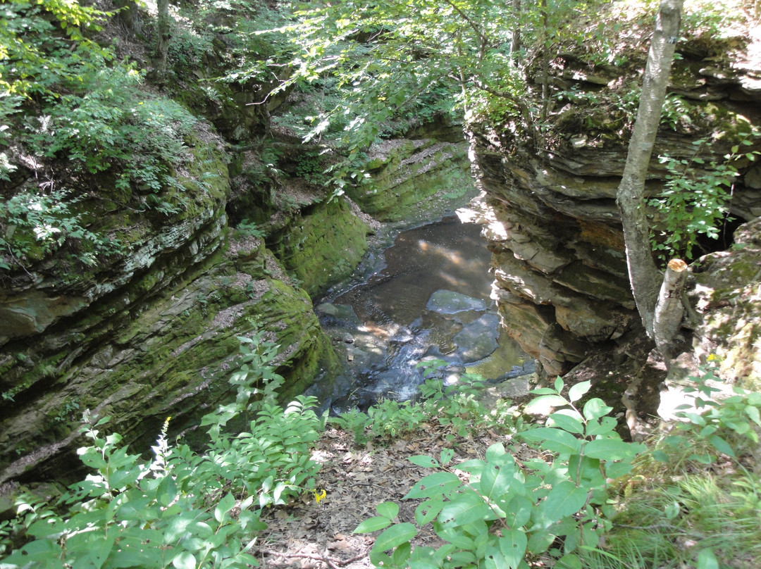 Pewit's Nest Gorge-巴拉布必去景点