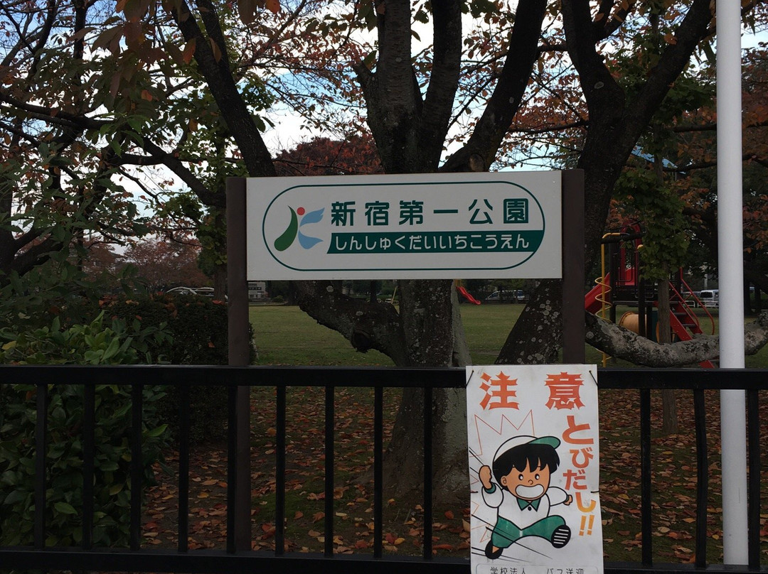 Shinshuku Daiichi Park景点图片