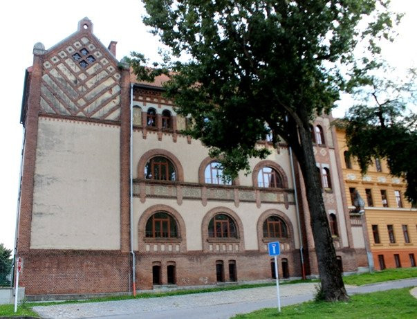 Elementary School