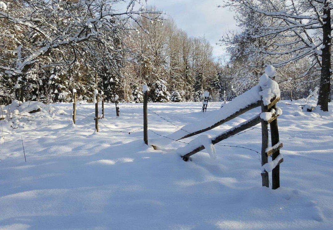 Langesater B&B