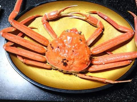 南越前町酒店住宿-Aoki