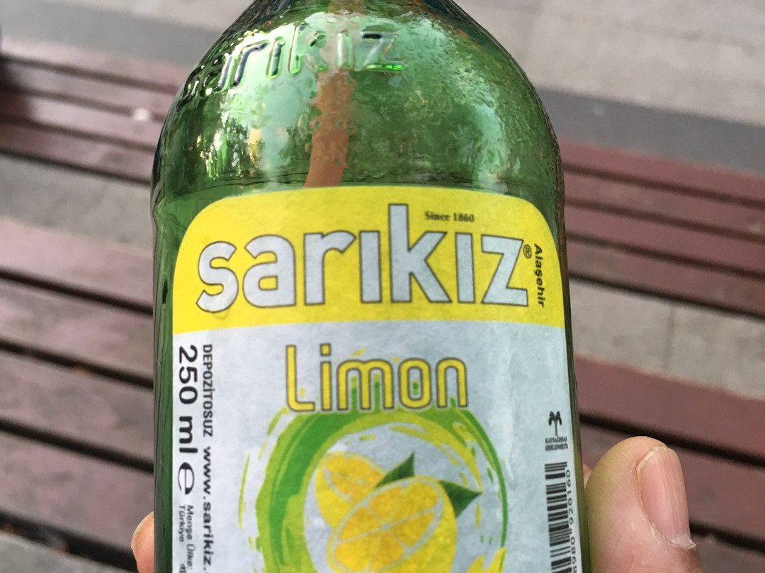 Koc Kardesler Kasabi
