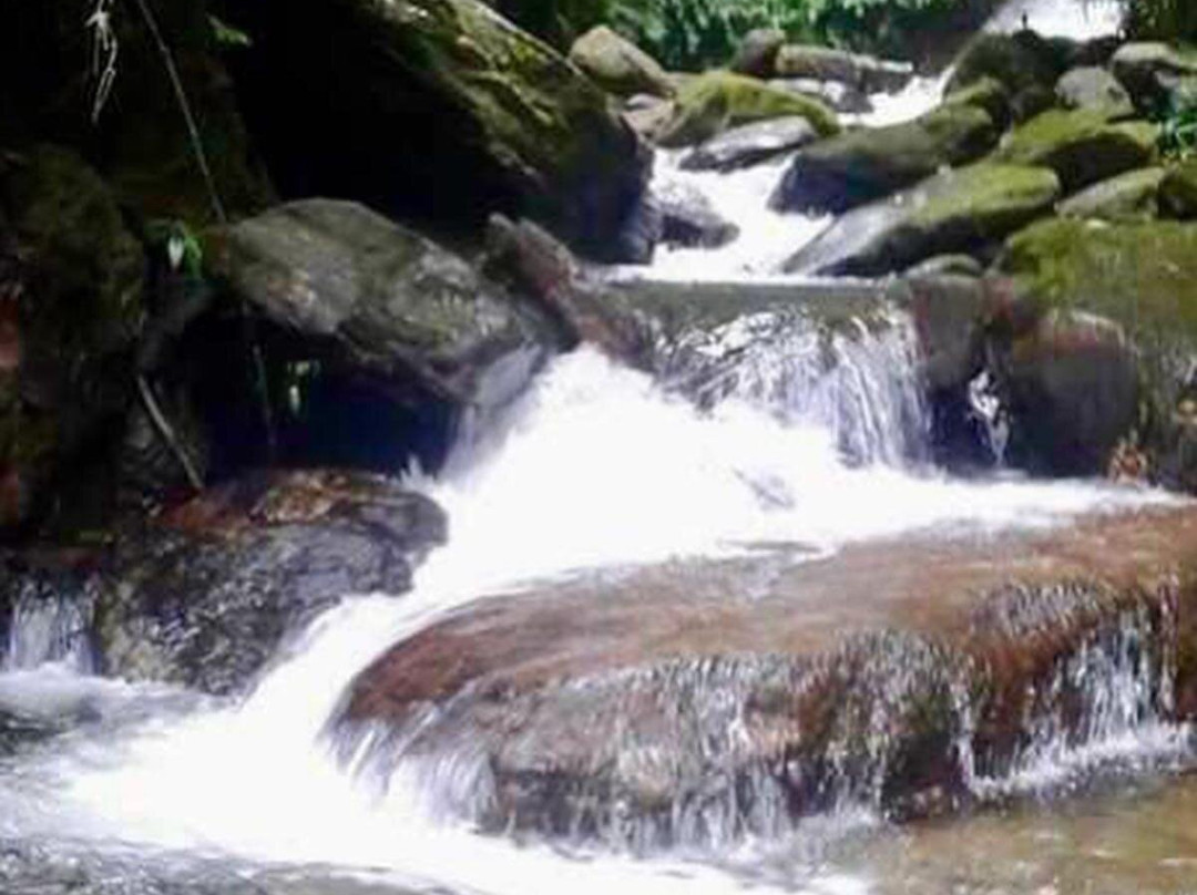 Fazenda Neuchatel-瓜拉廷格塔必去景点