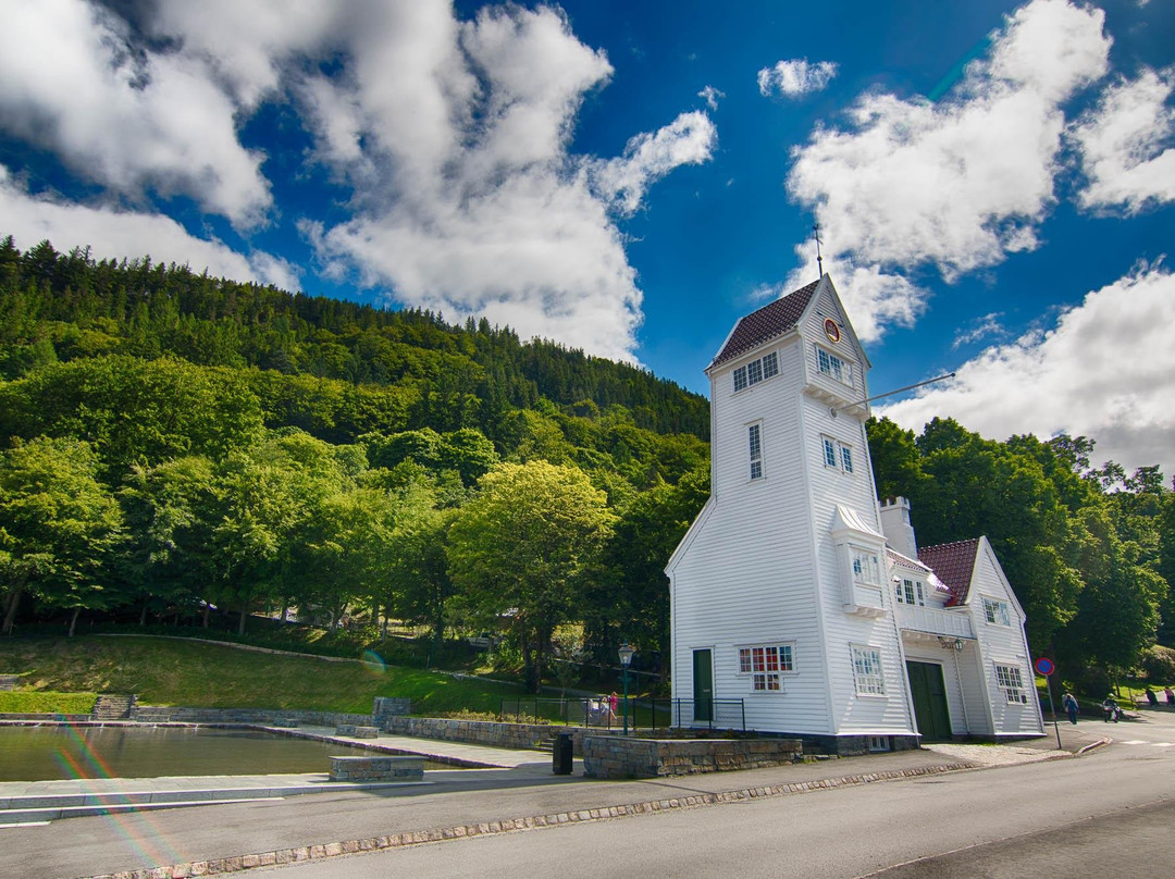 Norway Fjord Travel景点图片
