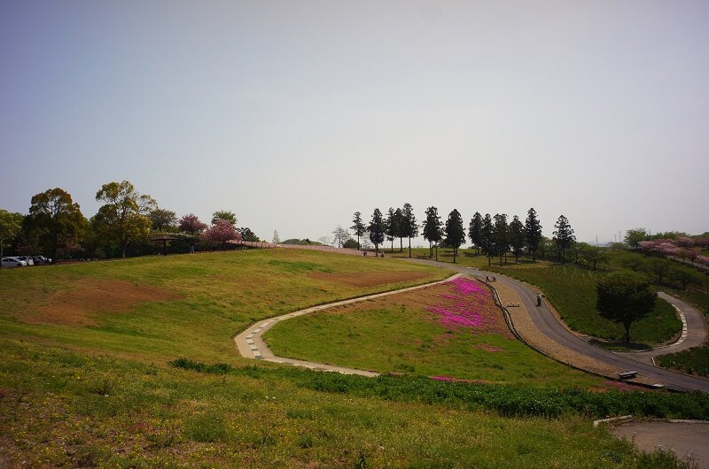 Ota City Hokubu Undo Park-太田市必去景点