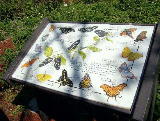 Gumbo Limbo Nature Center-博卡拉顿必去景点