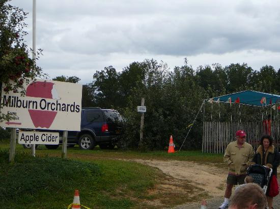 Milburn Orchards-埃尔克顿必去景点